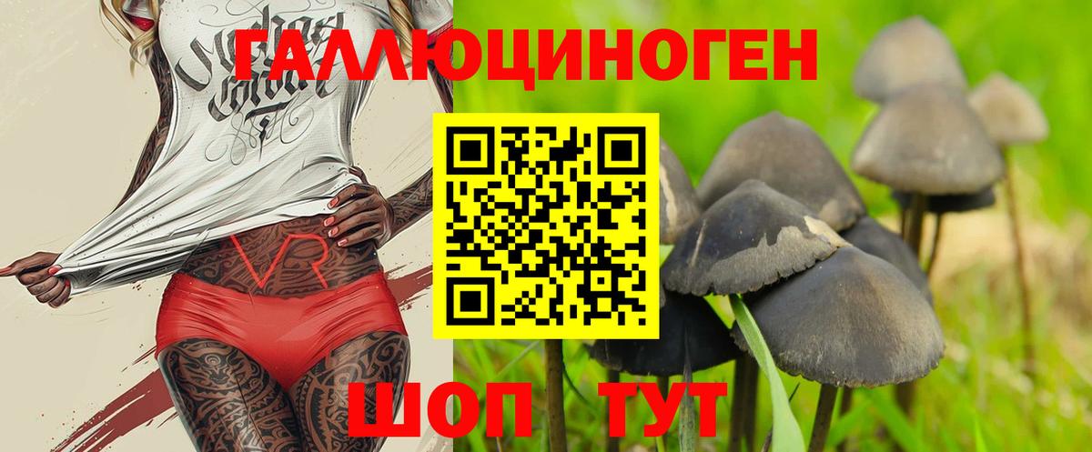 Псилоцибиновые грибы Psilocybe Беслан